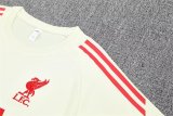 25/26 Liverpool White 1:1 Quality Training Jersey（A-Set）