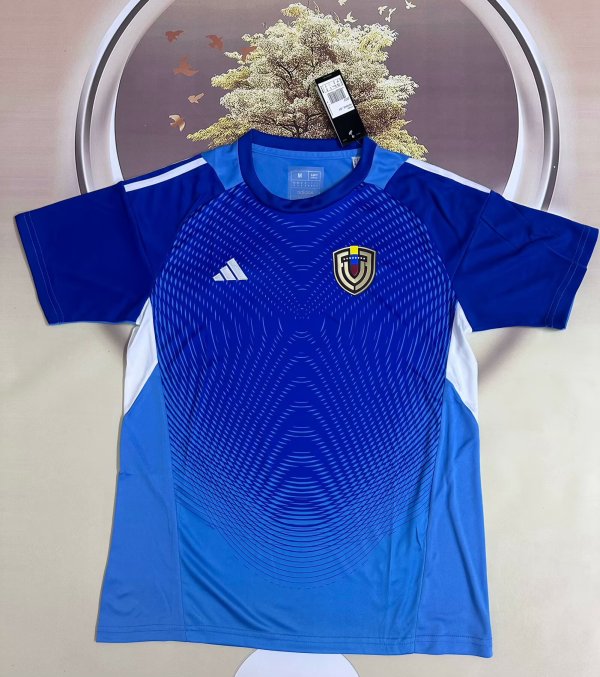 25/26 Venezuela  Goalkeeper Fans 1:1 Quality Soccer Jersey