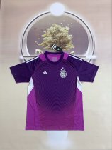 25/26 Argentina Goalkeeper Purple Fans 1:1 Quality Soccer Jersey