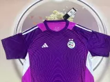 25/26 Algeria Goalkeeper Purple Fans 1:1 Quality Soccer Jersey