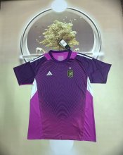 25/26 Los Angeles Goalkeeper Purple Fans 1:1 Quality Soccer Jersey
