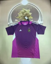 25/26 Los Angeles Goalkeeper Purple Fans 1:1 Quality Soccer Jersey