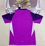 25/26 Algeria Goalkeeper Purple Fans 1:1 Quality Soccer Jersey