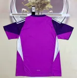 25/26 Algeria Goalkeeper Purple Fans 1:1 Quality Soccer Jersey