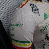 25/26 Ajax Special Edition Player 1:1 Quality Soccer Jersey