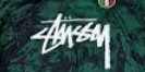 23/24 Italy Special Edition Green Fans 1:1 Quality Soccer Jersey