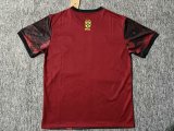 25/26 Brazil  Goddess Wine Red Fans 1:1 Quality Soccer Jersey