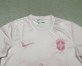 25/26 Brazil  Special Edition Fans 1:1 Quality Soccer Jersey