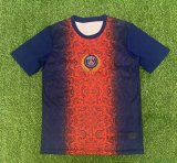 25/26 PSG Paris Special Edition  Fans 1:1 Quality Soccer Jersey