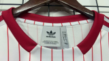 25/26  Benfica Fans Retro 1:1 Quality Soccer Jersey