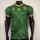 25/26 Cameroon Home Player  1:1 Quality Soccer Jersey