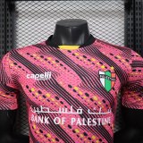 25/26 Palestine Special Edition Player 1:1 Quality Soccer Jersey
