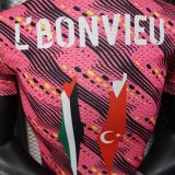 25/26 Palestine Special Edition Player 1:1 Quality Soccer Jersey