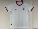 25/26  Benfica Anniversary Edition Fans 1:1 Quality Soccer Jersey