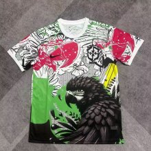 25/26 Brazil  Special Edition Fans 1:1 Quality Soccer Jersey