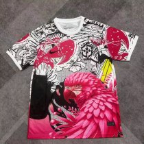25/26 Brazil Special Edition Fans 1:1 Quality Soccer Jersey 25/26 Brazil Special Edition Fans 1:1 Quality Soccer Jersey