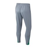 25/26 Nigeria Grey 1:1 Quality Training Jersey