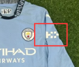 24/25 Manchester City Home Long Sleeve Player  1:1 Quality Soccer Jersey