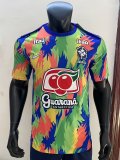 25/26 Brazil  Special Edition Fans 1:1 Quality Soccer Jersey
