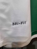 2010 Portugal Away Player 1:1  Quality Retro Soccer Jersey（球员版）