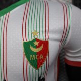 25/26 Palestine Special Edition Player 1:1 Quality Soccer Jersey