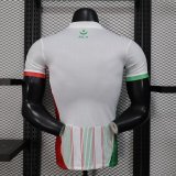 25/26 Palestine Special Edition Player 1:1 Quality Soccer Jersey