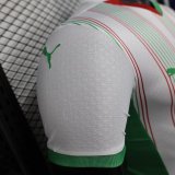 25/26 Palestine Special Edition Player 1:1 Quality Soccer Jersey