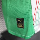25/26 Palestine Special Edition Player 1:1 Quality Soccer Jersey