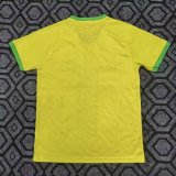 25/26 Brazil Special Edition Fans 1:1 Quality Soccer Jersey