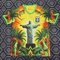 25/26 Brazil Special Edition Fans 1:1 Quality Soccer Jersey