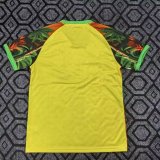 25/26 Brazil Special Edition Fans 1:1 Quality Soccer Jersey
