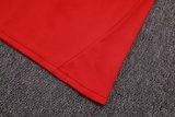 25/26  Liverpool Red 1:1 Quality Training Jersey