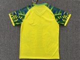 25/26 Brazil Special Edition Fans 1:1 Quality Soccer Jersey