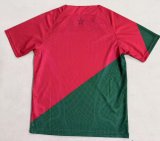 25/26  Morocco Special Edition Fans 1:1 Quality Soccer Jersey