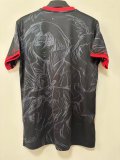 25/26 Japan  Special Edition Fans 1:1 Quality Soccer Jersey