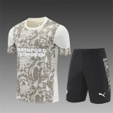 25/26 PSV Eindhoven Light Yellow 1:1 Quality Training （A-Set）