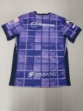 25/26 Sanfrecce Hiroshima Home Fans 1:1 Quality Soccer Jersey（广岛三箭）