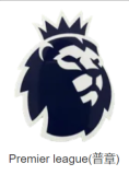 25/26 Leicester City Third Fans 1:1 Quality Soccer Jersey