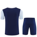25/26 Tottenham Royal Blue 1:1 Quality Training Jersey（A-Set）