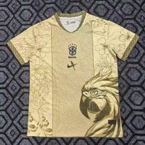25/26 Brazil Special Edition Fans 1:1 Quality Soccer Jersey