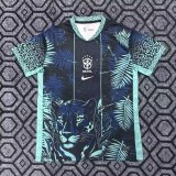 25/26 Brazil Special Edition Fans 1:1 Quality Soccer Jersey