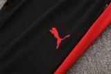 25/26 Portugal Red 1:1 Quality Training Jersey