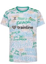 25/26  Real Betis Special Edition Fans 1:1 Quality Soccer Jersey