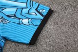 25/26 Napoli Light Blue 1:1 Quality Training Jersey（A-Set）