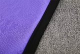25/26 Barcelona  Purple 1:1 Quality Training Jersey