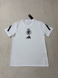 25/26 Al-Nassr FC T-shirt  Fans  1:1 Quality Soccer Jersey