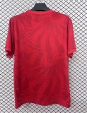 25/26 Birmingham  Third Red Fans 1:1 Quality  Soccer Jersey