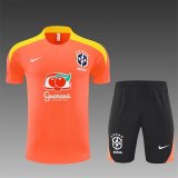 25/26  Brazil Orange 1:1 Quality Training Jersey（A-Set）