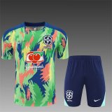 25/26  Brazil Blue and Green 1:1 Quality Training Jersey（A-Set）