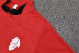 25/26 AC Milan Red 1:1 Quality Training Jersey